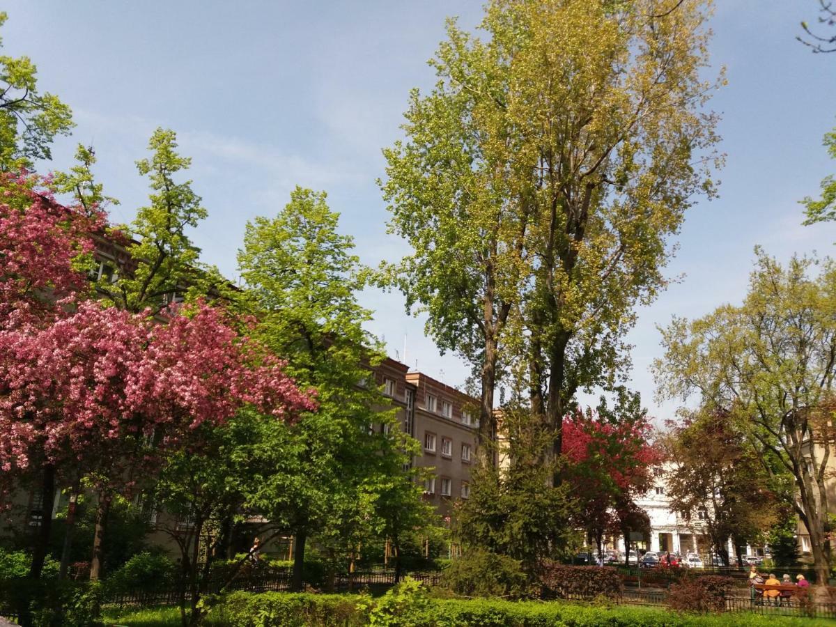 Muranow Studio Warszawa Exteriör bild
